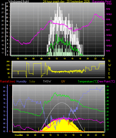 24 Hour Graph for Day 20